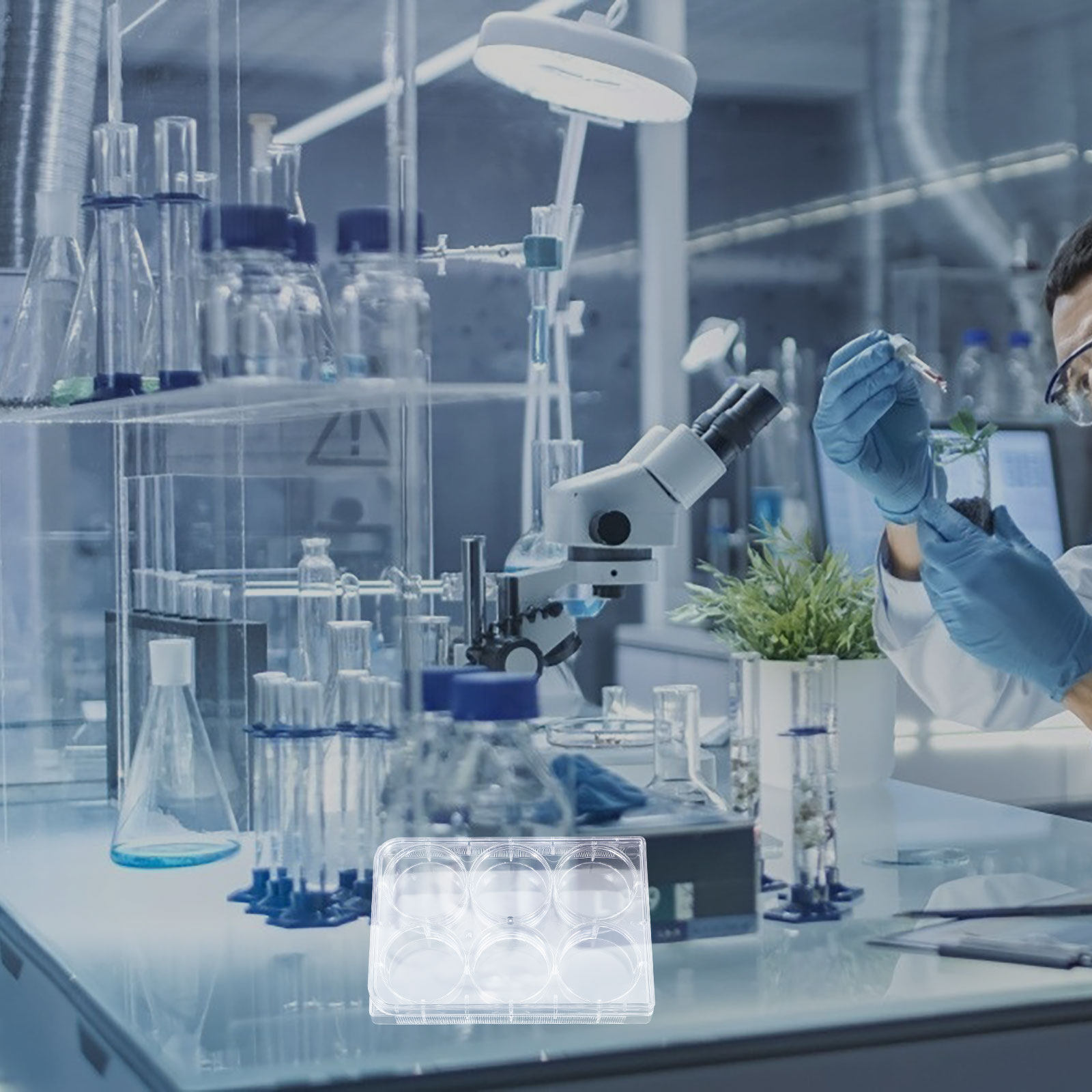 Lab Equipment - Placa para Cultura de Tecidos com